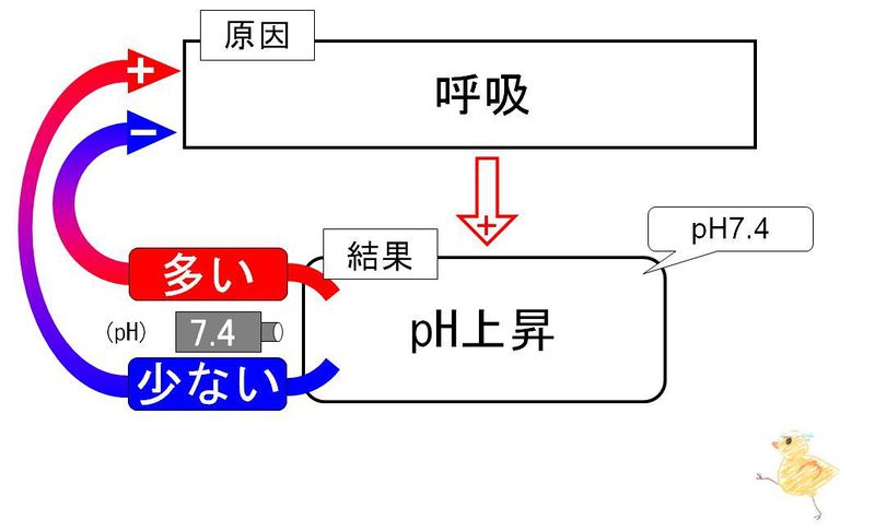 ファイル:02213.jpg