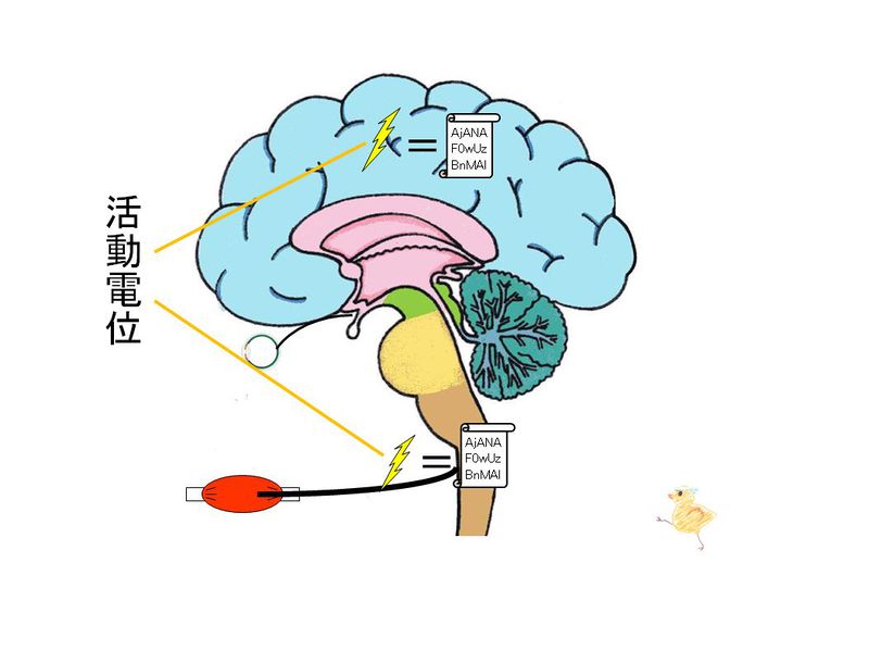 ファイル:03239.jpg