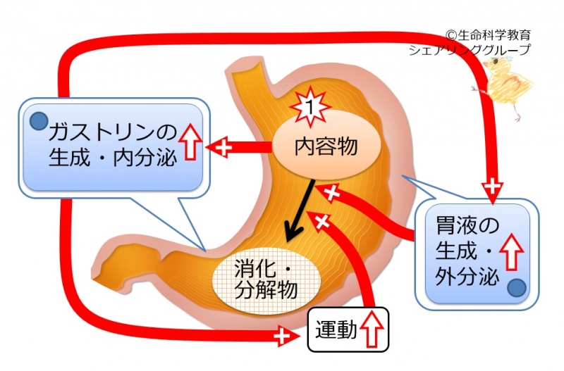 ファイル:03441.jpg