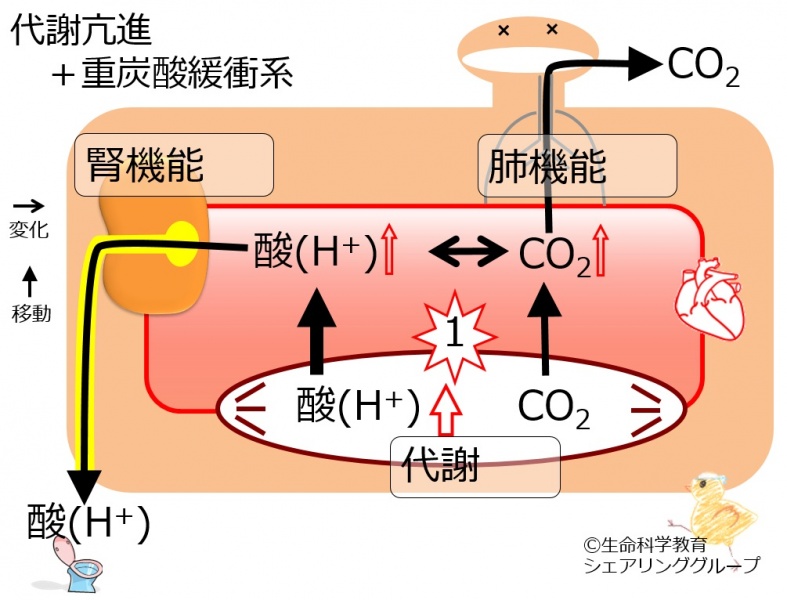 ファイル:04417.jpg