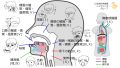 2025年2月18日 (火) 16:18時点における版のサムネイル