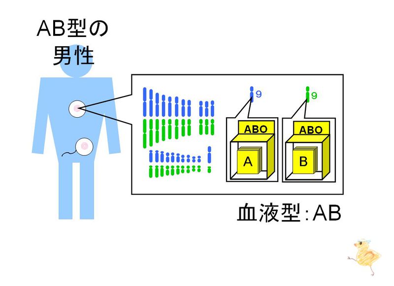 ファイル:01205.jpg