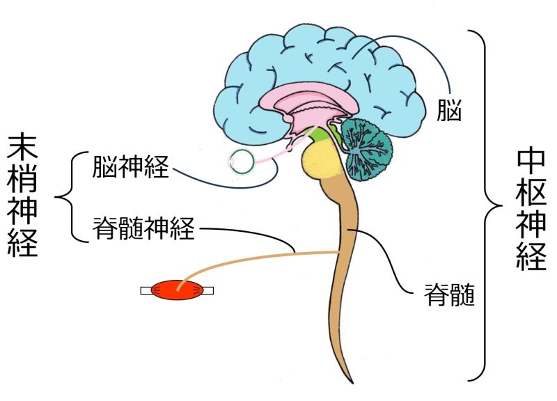 ファイル:03289.jpg