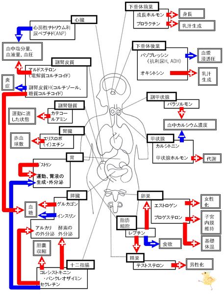 ファイル:03515.jpg