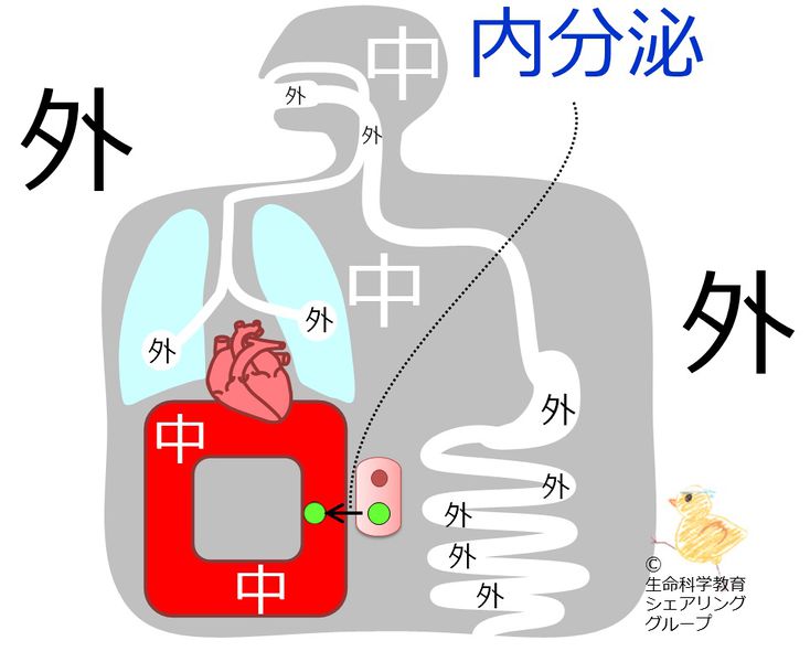 ファイル:04606.jpg