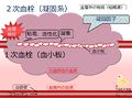 2013年5月10日 (金) 14:36時点における版のサムネイル