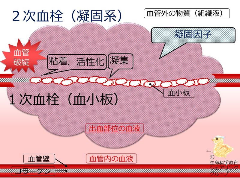 ファイル:04678.jpg