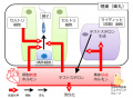 2022年3月7日 (月) 11:01時点における版のサムネイル