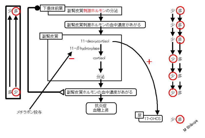 ファイル:00799.jpg