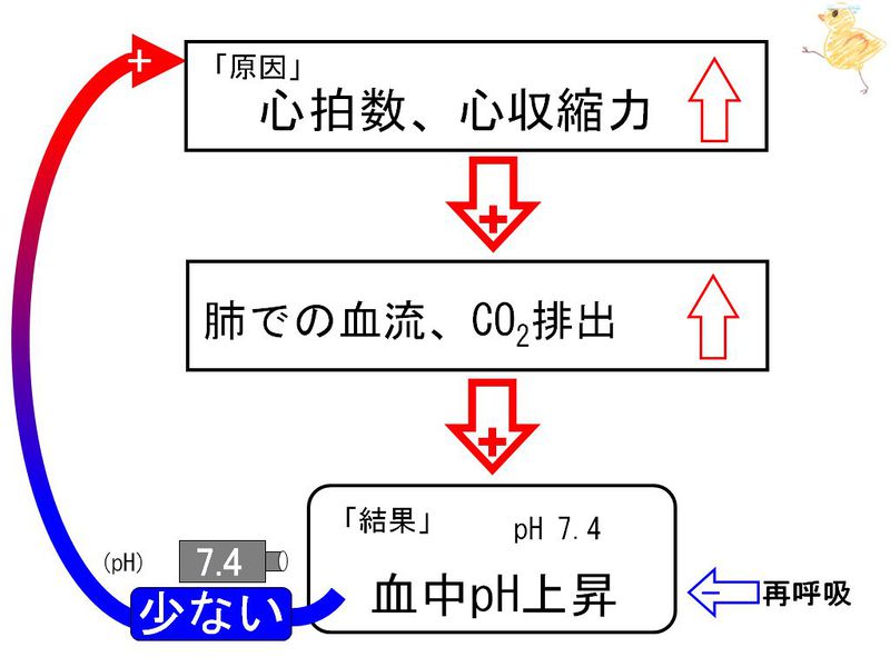 ファイル:02125.jpg
