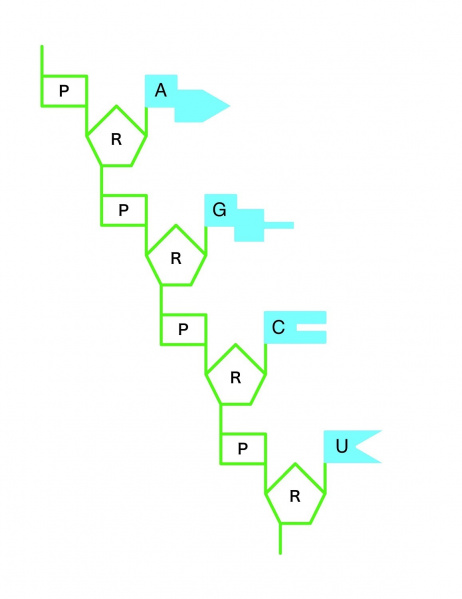 ファイル:03823-wb.jpg