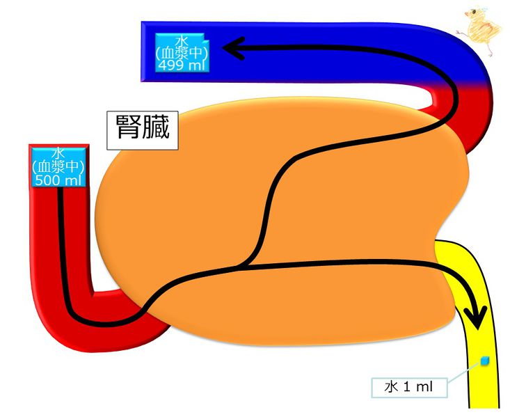 ファイル:04250.jpg