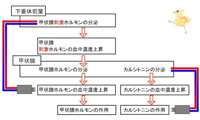 ファイル:00767.jpg