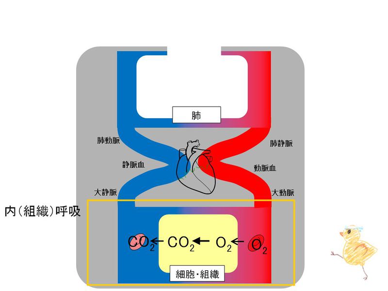 ファイル:02006.jpg
