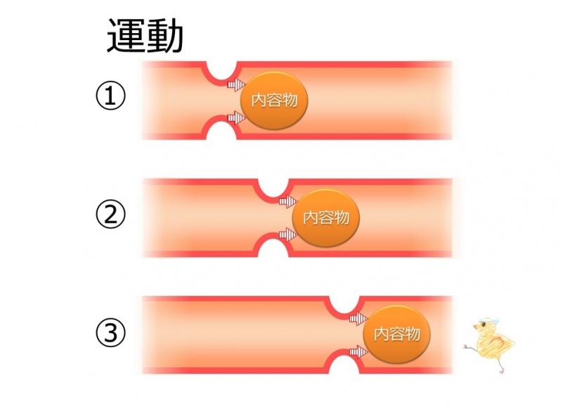 ファイル:04064-wb.jpg