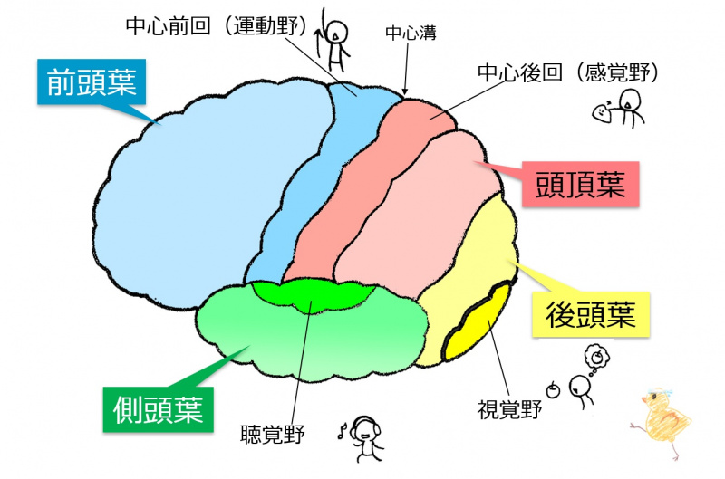ファイル:04176.jpg