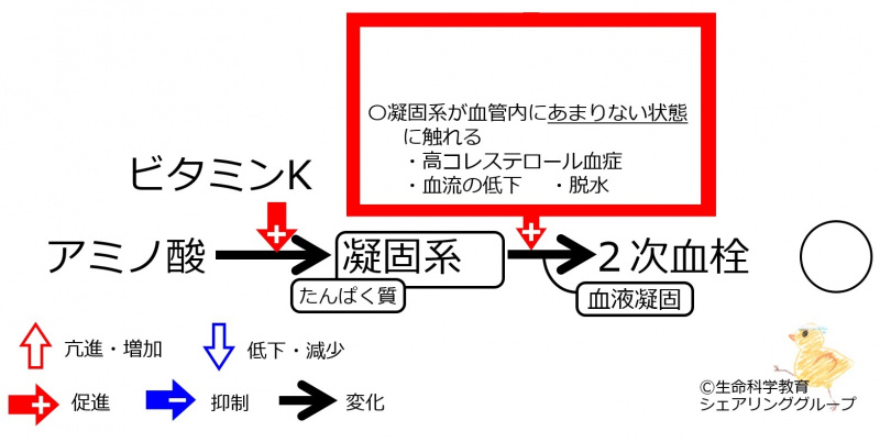 ファイル:VitK-bad-coagulation-wb.jpg