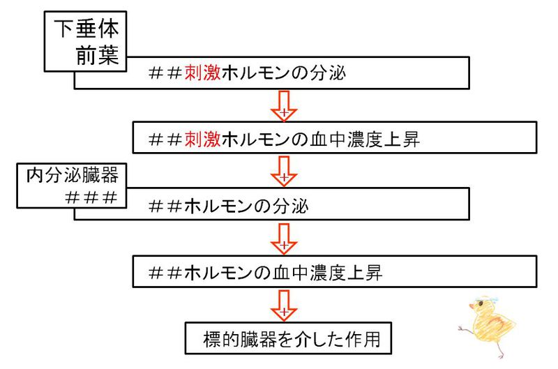 ファイル:02528.jpg