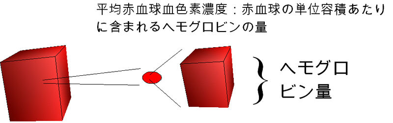 ファイル:00415.jpg