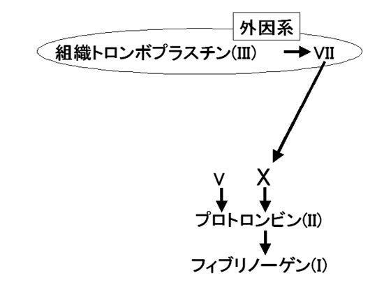 00517.jpg