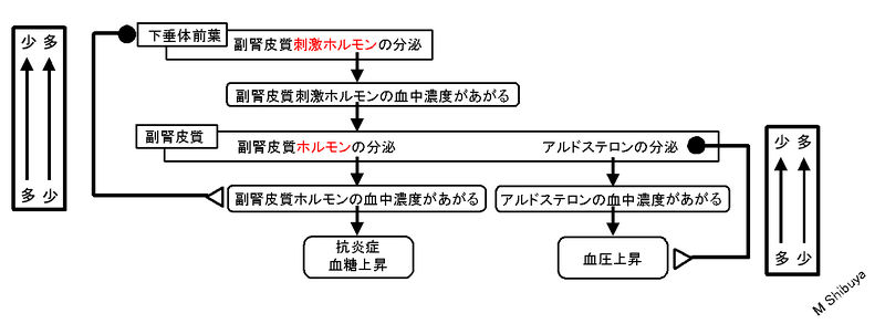 ファイル:01025.jpg