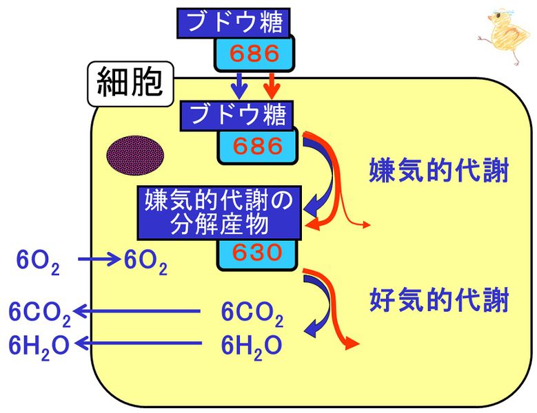 ファイル:03503.jpg