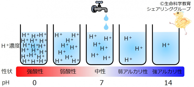 ファイル:04391.jpg