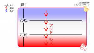 00646.jpg