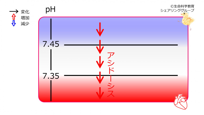 ファイル:00646.jpg