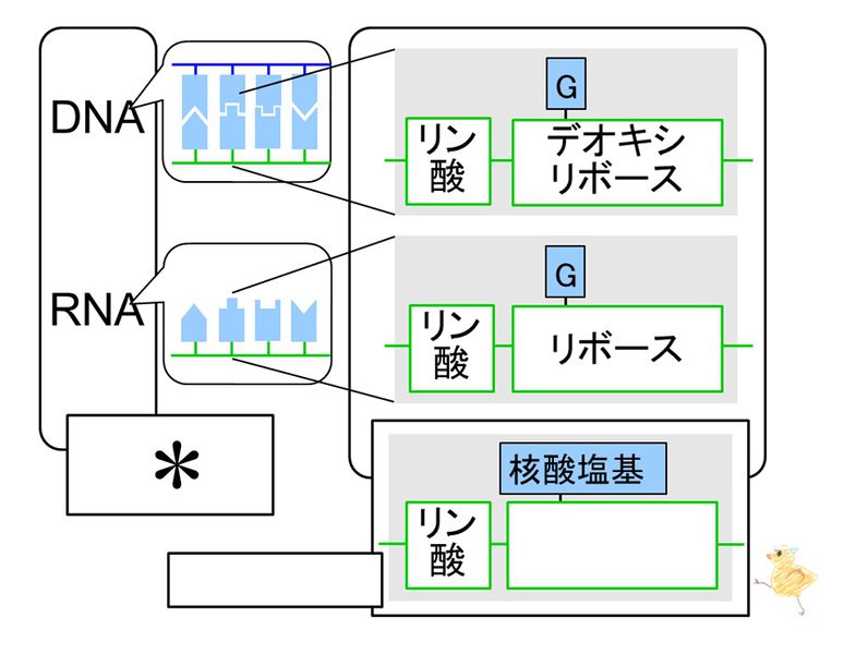 ファイル:04136.jpg