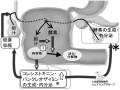 2014年12月4日 (木) 11:51時点における版のサムネイル