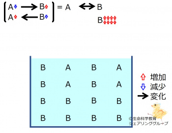 ChemicalEquilibriumChangesByIncInMolB-2.jpg