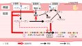 2024年3月5日 (火) 23:33時点における版のサムネイル