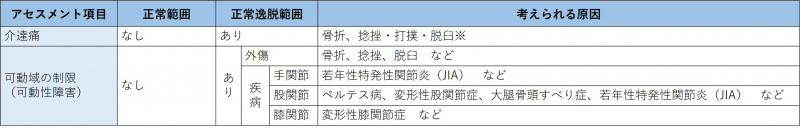 ファイル:表-筋骨格-検査-アセスメント事項.jpg