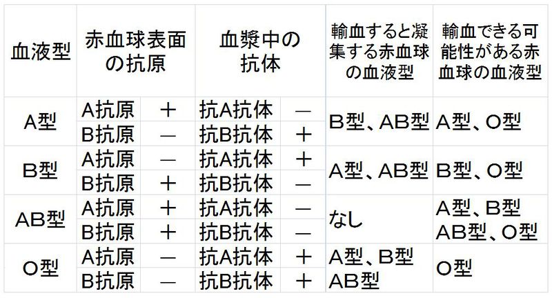 ファイル:01941.jpg