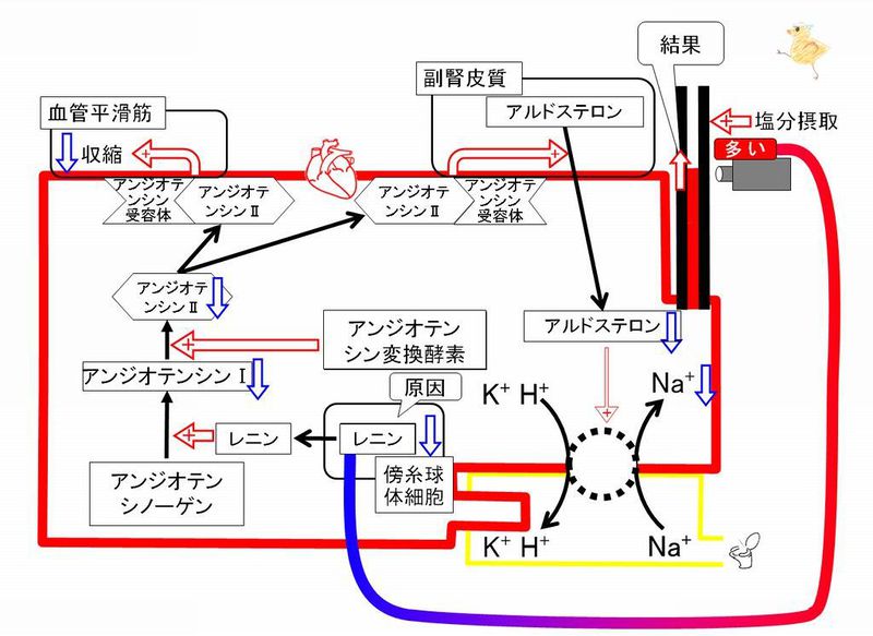 ファイル:02306.jpg