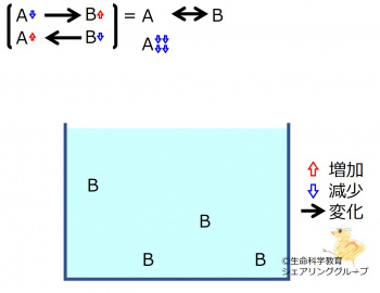 ChemicalEquilibriumChangesByDecInMolA-2.jpg