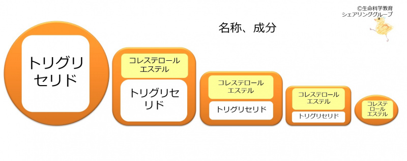 ファイル:リポたんぱく質成分-wb.jpg