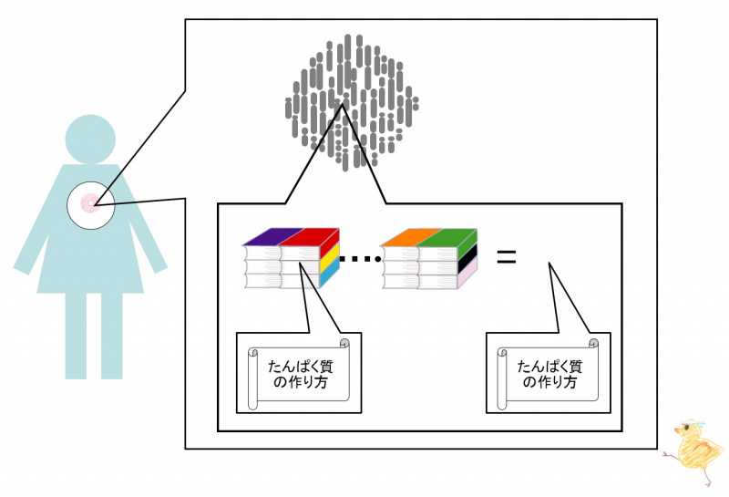 ファイル:01867-wb.jpg