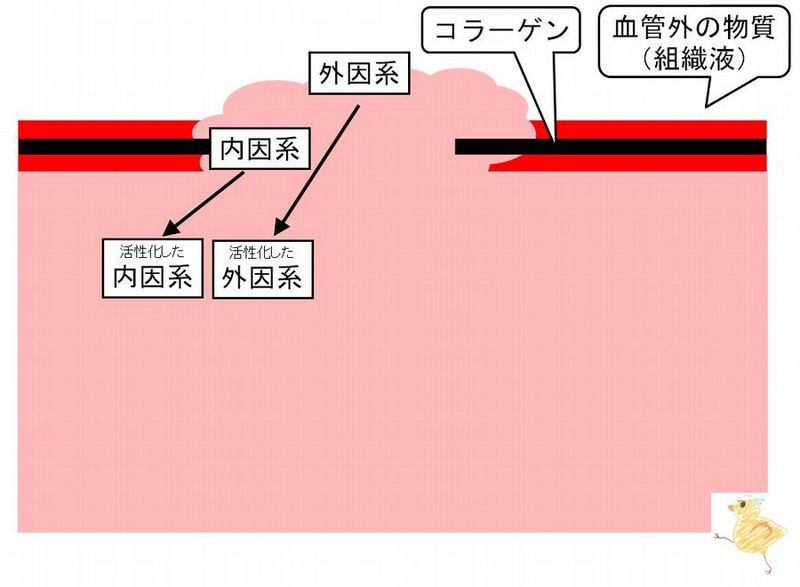 ファイル:03027.jpg