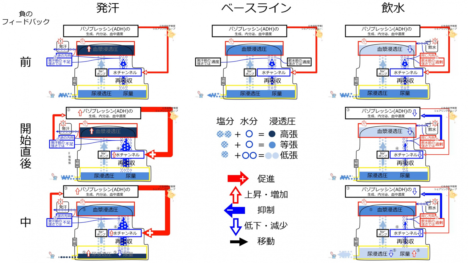 ADHControlSummary.jpg