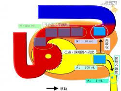 /wiki/images/thumb/1/13/Nephron-reabsorption-water.jpg/250px-Nephron-reabsorption-water.jpg