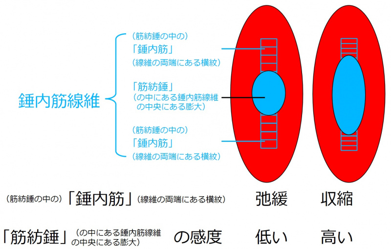 ファイル:03512.jpg
