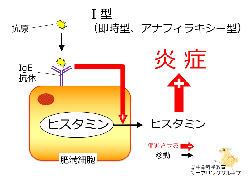 ファイル:04279.jpg