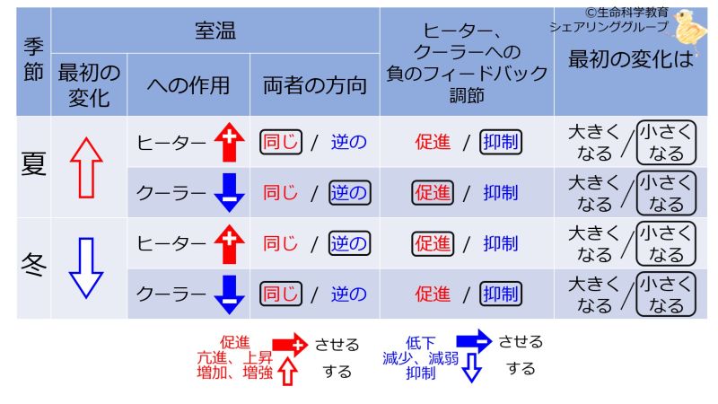 ファイル:NegFB-BasicTable-Jpn.jpg