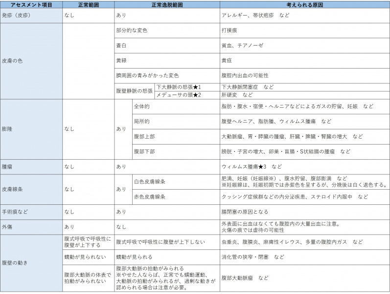 ファイル:表-腹部-視診-腹部の外観の観察.jpg