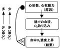 01681.jpg