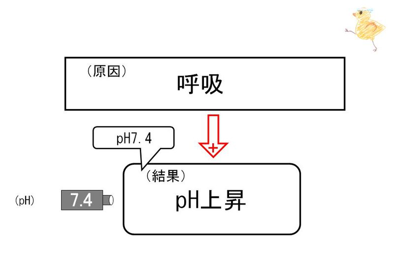 ファイル:02839.jpg