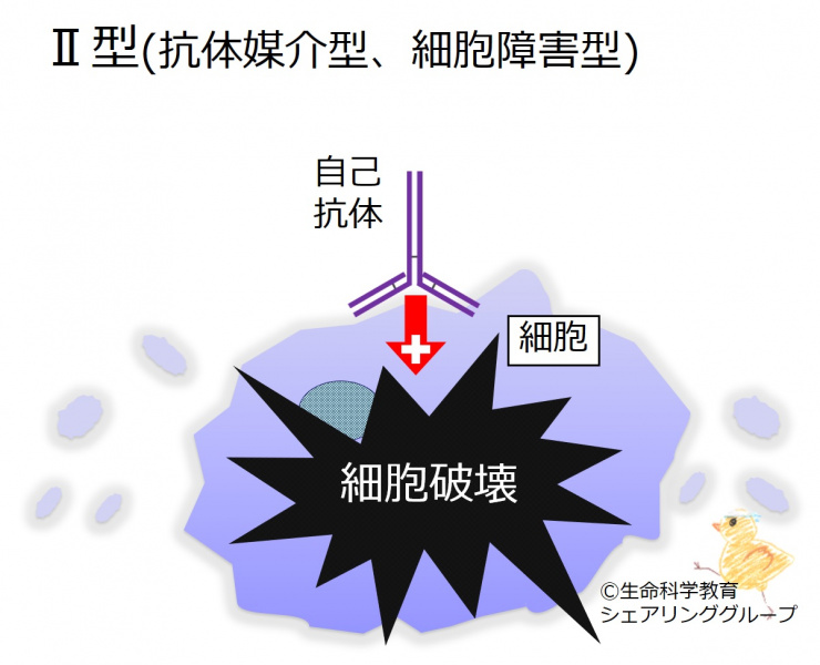 ファイル:04280.jpg