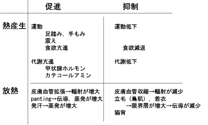 ファイル:00300.jpg